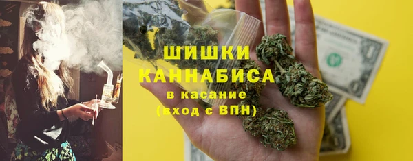 трава Гусиноозёрск