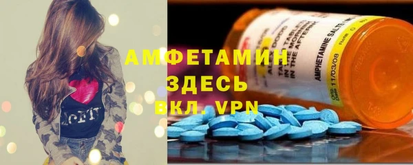 трава Гусиноозёрск