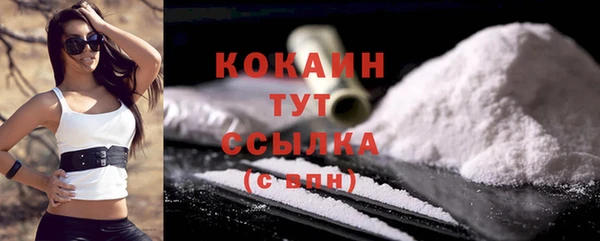 трава Гусиноозёрск