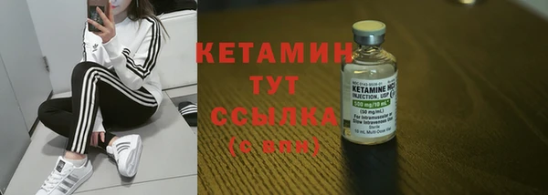 трава Гусиноозёрск