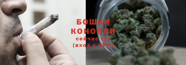 трава Гусиноозёрск