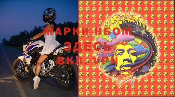 трава Гусиноозёрск